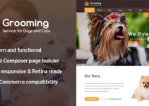 Aenyo – Beauty & Skincare Shop Theme