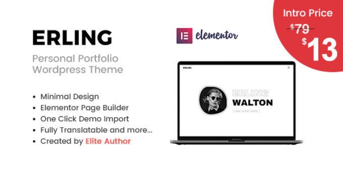 Erling – Personal Portfolio WordPress Theme