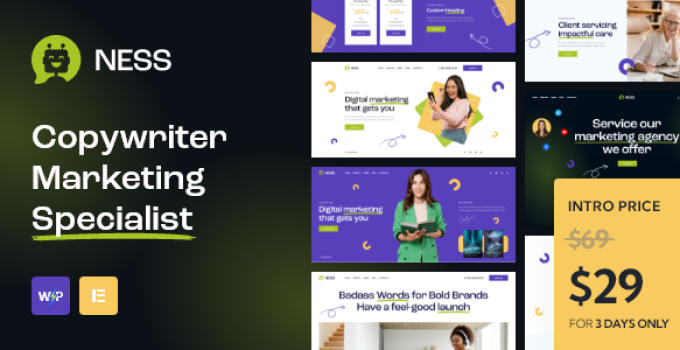 Ness – Marketing Agency & SMM WordPress Theme