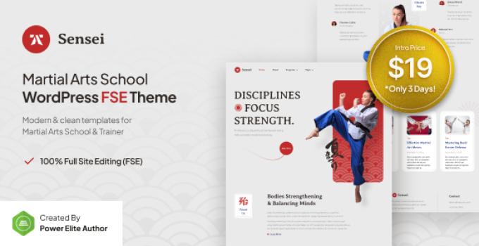 Sensei – Martial Arts Club & Trainer FSE WordPress Theme